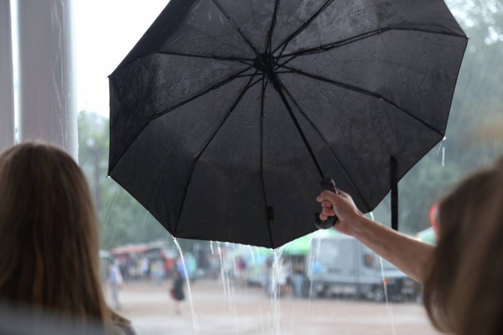 МЧС предупредило жителей Ленобласти о дождях и гололедице 13 ноября