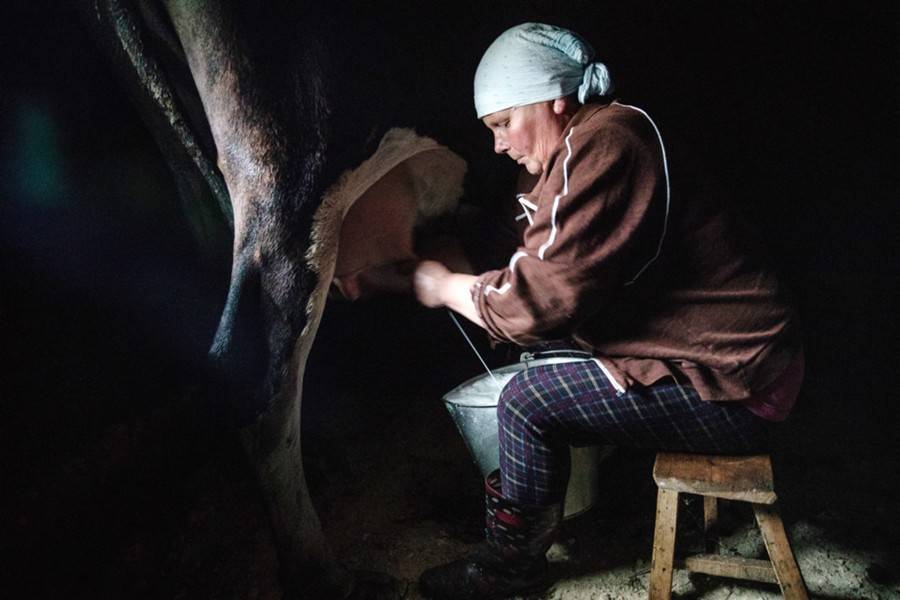 Владимир Путин подписал закон о сокращенном рабочем дне для женщин в селах