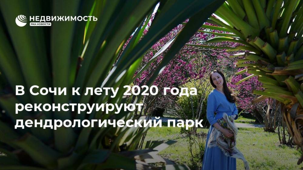 В Сочи к лету 2020 года реконструируют дендрологический парк