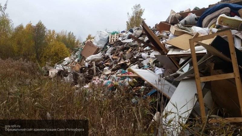 "Российский экологический оператор" изучит опыт Франции в глобальной борьбе с мусором
