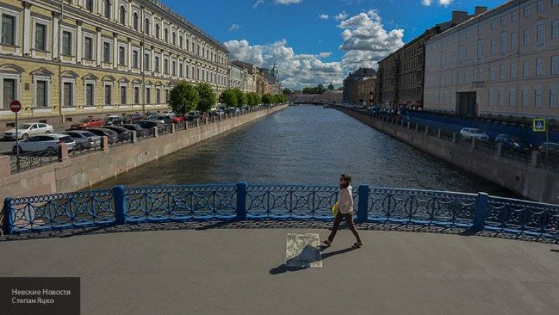 Студентка из Петербурга прыгнула в Мойку вслед за обвиняемым в убийстве доцентом Соколовым