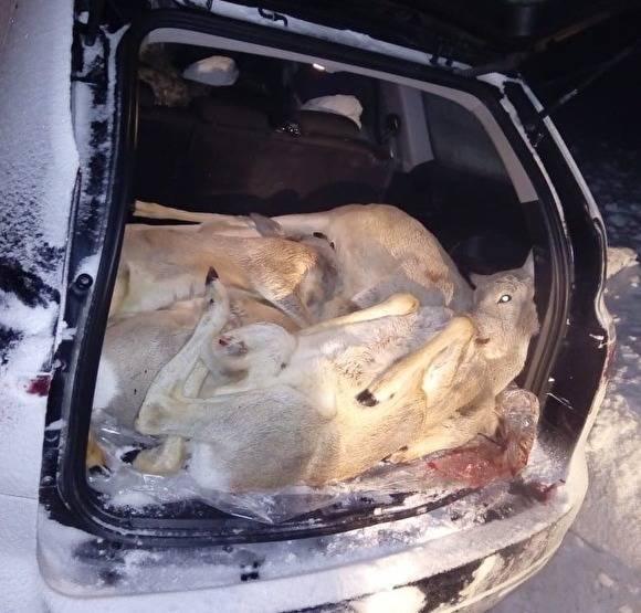 Курганский суд закрыл дело тюменского браконьера-единороса Красноштанова