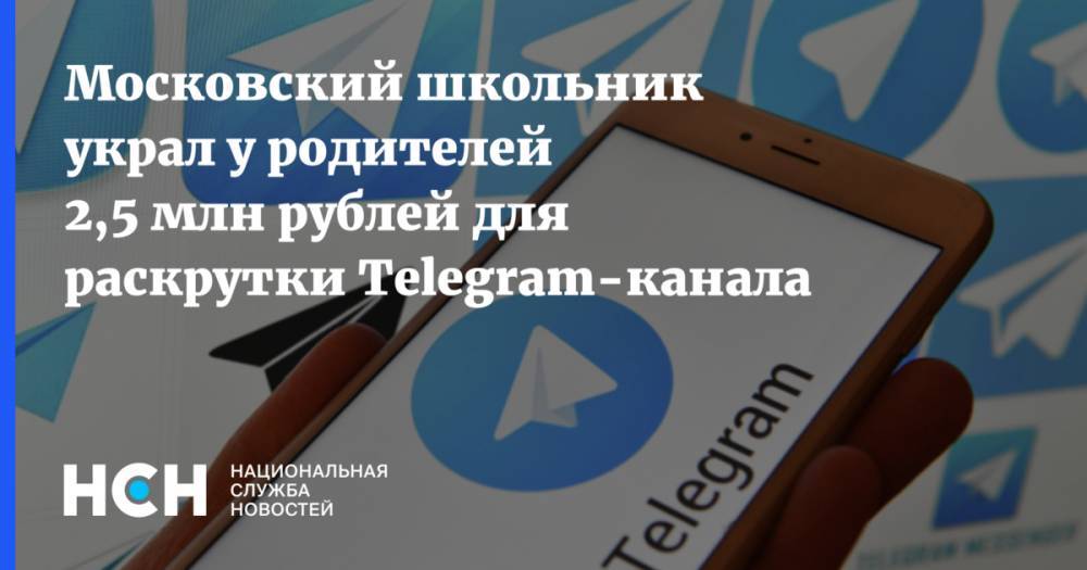 Московский школьник украл у родителей 2,5 млн рублей для раскрутки Telegram-канала