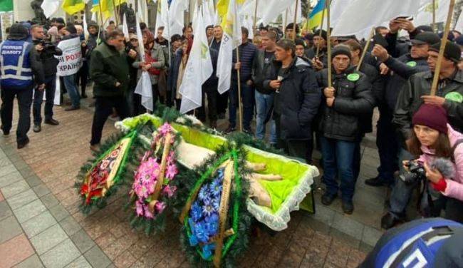 К зданию Верховной рады в Киеве принесли мертвую свинью в гробу