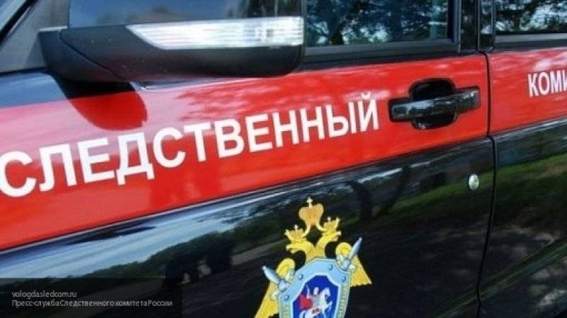 Бесследно пропавшую пятилетнюю девочку в Крыму разыскивает СК РФ