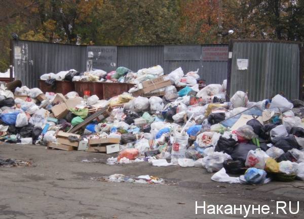 Челябинская область оказалась в числе регионов с наибольшим риском мусорного коллапса
