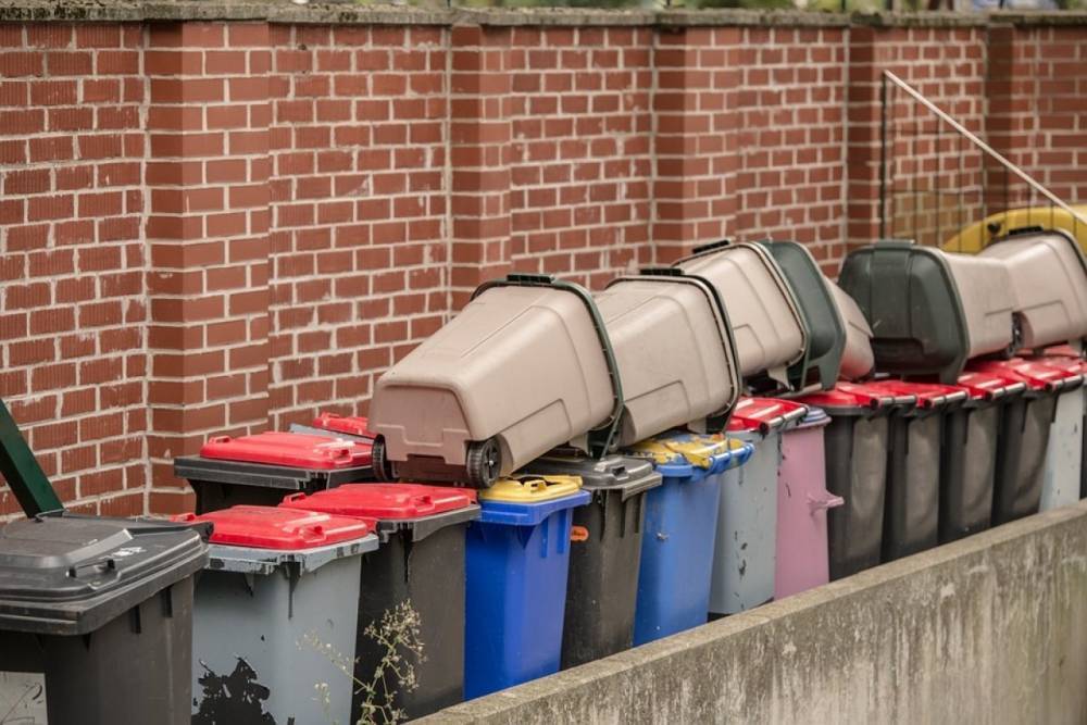 Установка контейнеров для вывоза мусора может обойтись жителям Карелии в копеечку