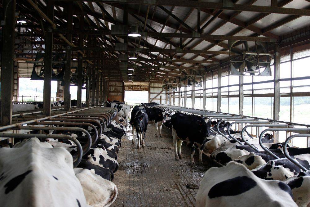 Крупнейшая в США молочная компания Dean Foods подала заявление о банкротстве