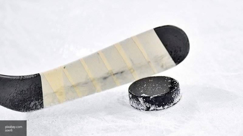 Пользователи Сети раскритиковали хоккеиста из Канады за сравнение России с тюрьмой