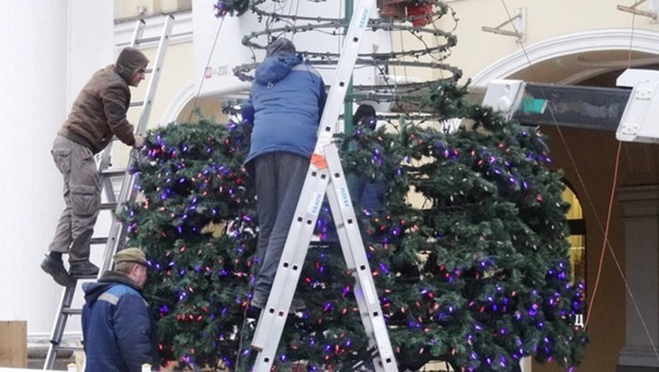 В центре Петербурга начали устанавливать новогоднюю елку