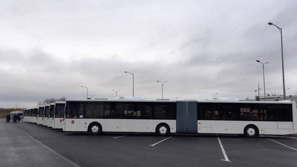Сезонные автобусы в Петербурге сменятся 15 и 16 ноября