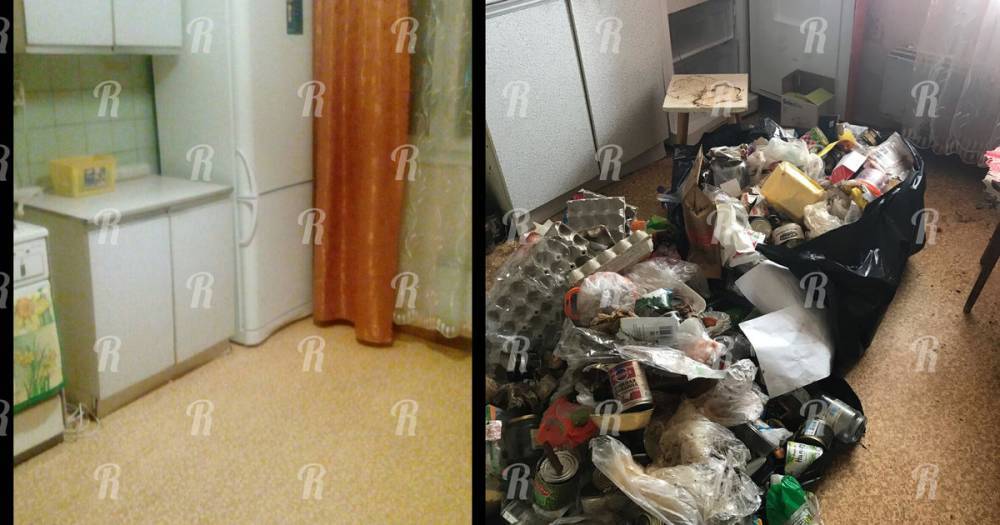 За убитую квартиру хозяйка отсудила у зоозащитника-живодера из Зеленограда 60 тысяч рублей