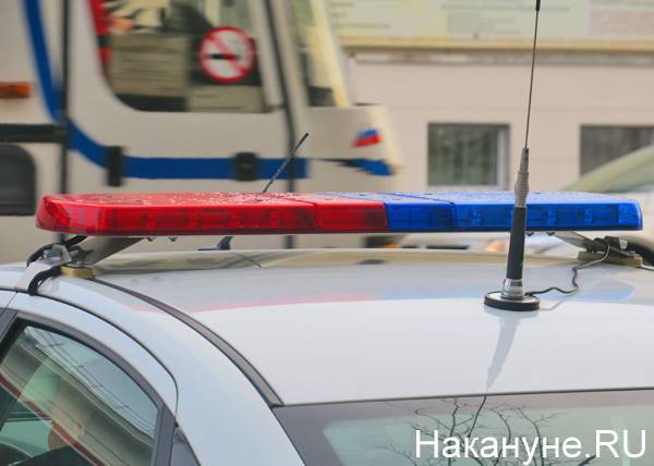 На Среднем Урале полицейская автоледи вылетела с трассы и едва не утонула в болоте