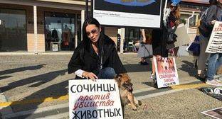 Зоозащитники на митинге в Сочи потребовали построить приюты для животных