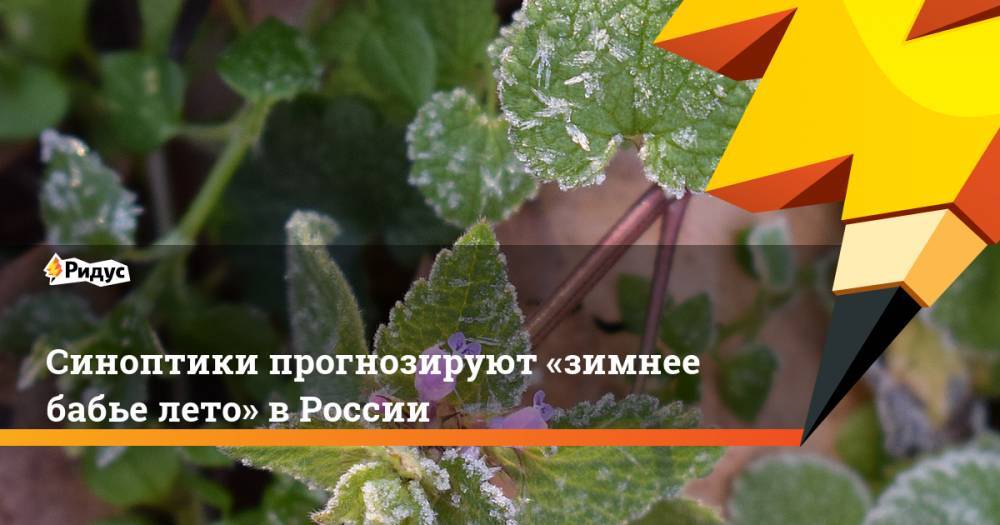 Синоптики прогнозируют «зимнее бабье лето» в России
