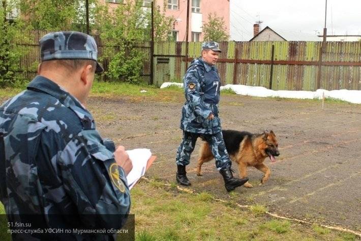 В РФ намерены создать приют для собак-ветеранов МЧС