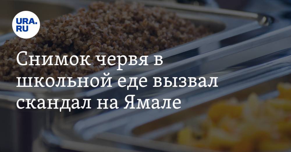 Снимок червя в школьной еде вызвал скандал на Ямале. ФОТО