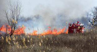 Около 300 человек привлечены к тушению лесных пожаров на Кубани