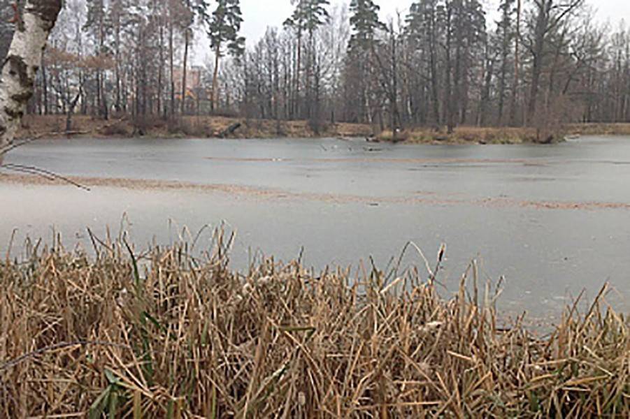 До лета 2020 года очистят пруд в усадьбе Архангельское-Тюриково