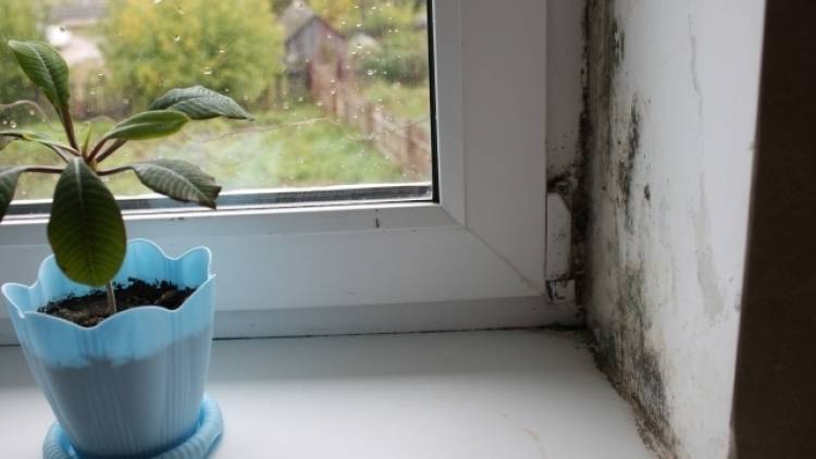 Эксперты считают, что сушить белье дома опасно для здоровья