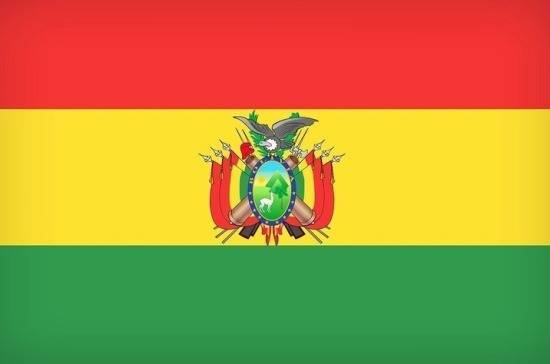 Временный президент Боливии назначила новый кабинет министров
