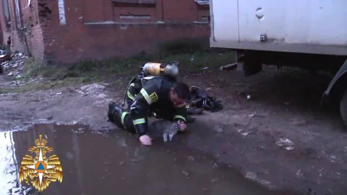 В Твери пожарный спас надышавшегося газом котика