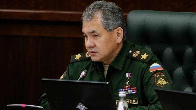 Эксперт оценил заявление Шойгу о готовности России помочь Египту с обороноспособностью