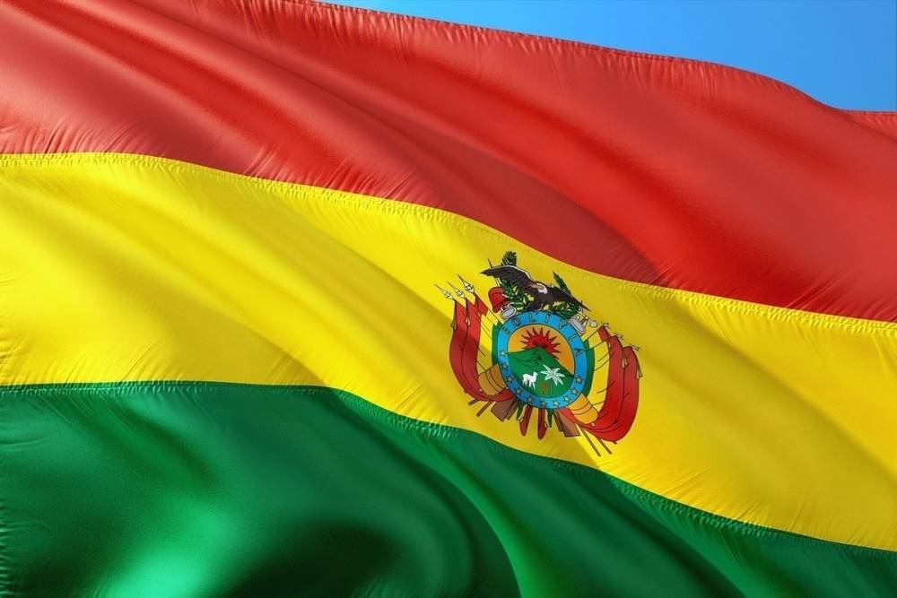 В МИД сравнили действия при смене власти в Боливии с госпереворотом