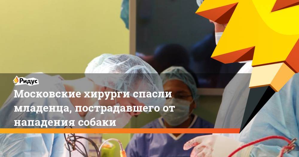 Московские хирурги спасли младенца, пострадавшего от нападения собаки