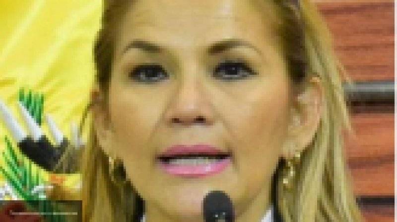Сенатор Жанин Аньес была признана колумбийским МИД и.о президента Боливии