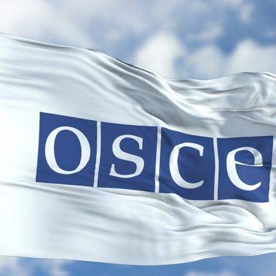 Миссия ОБСЕ подтвердила завершение процесса отвода войск в районе Петровского