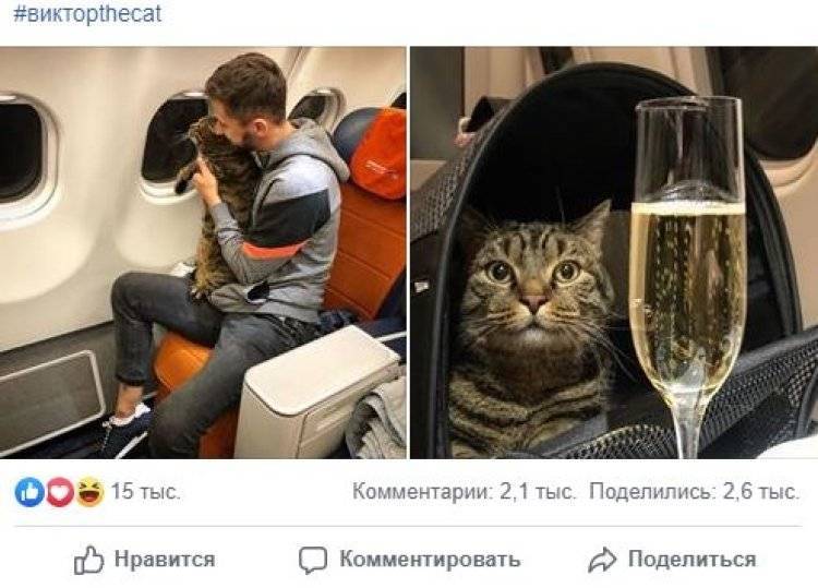 «Коммунисты России» не выдадут партбилет коту Виктору из-за лишнего веса