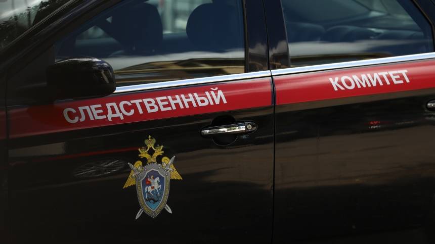 Новорожденная девочка скончалась спустя два дня после смерти матери в Петербурге
