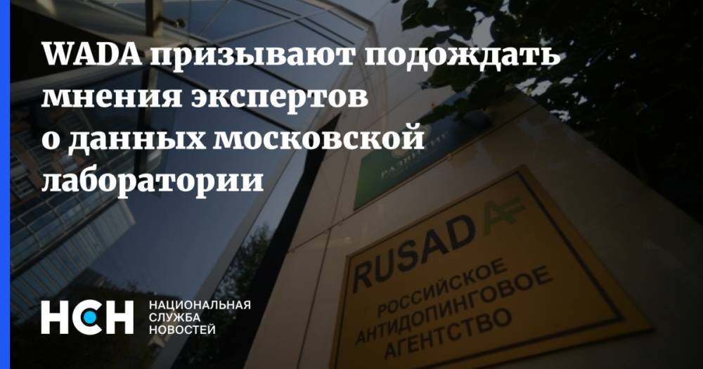 Крейг Риди - WADA призывают подождать мнения экспертов о данных московской лаборатории - nsn.fm