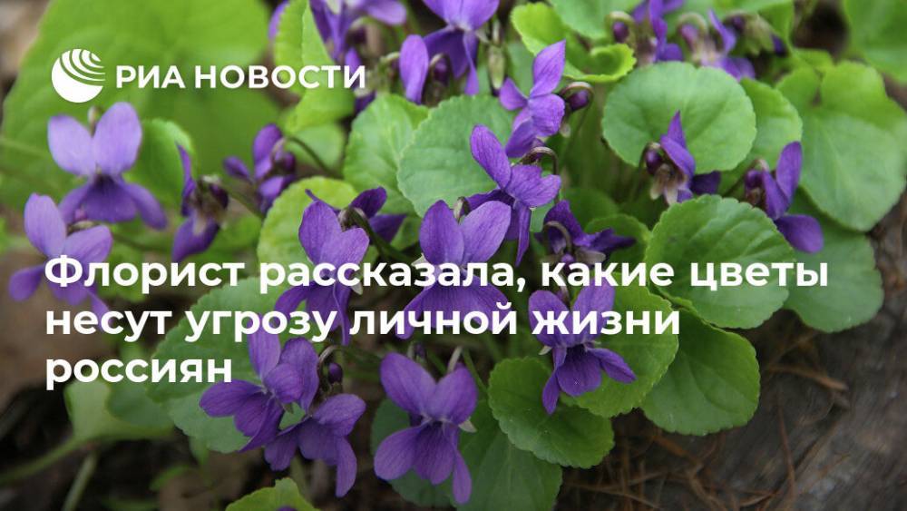 Флорист рассказала, какие цветы несут угрозу личной жизни россиян