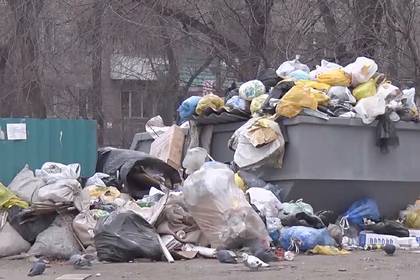Медведев поручил разобраться с мусорной проблемой в российском городе