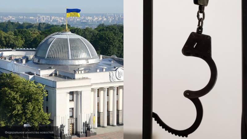 Мужа украинского депутата Анны Скороход задержали по запросу России, заявил ее коллега