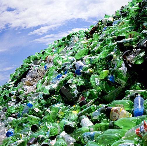 Экологи призвали запретить в России пластик