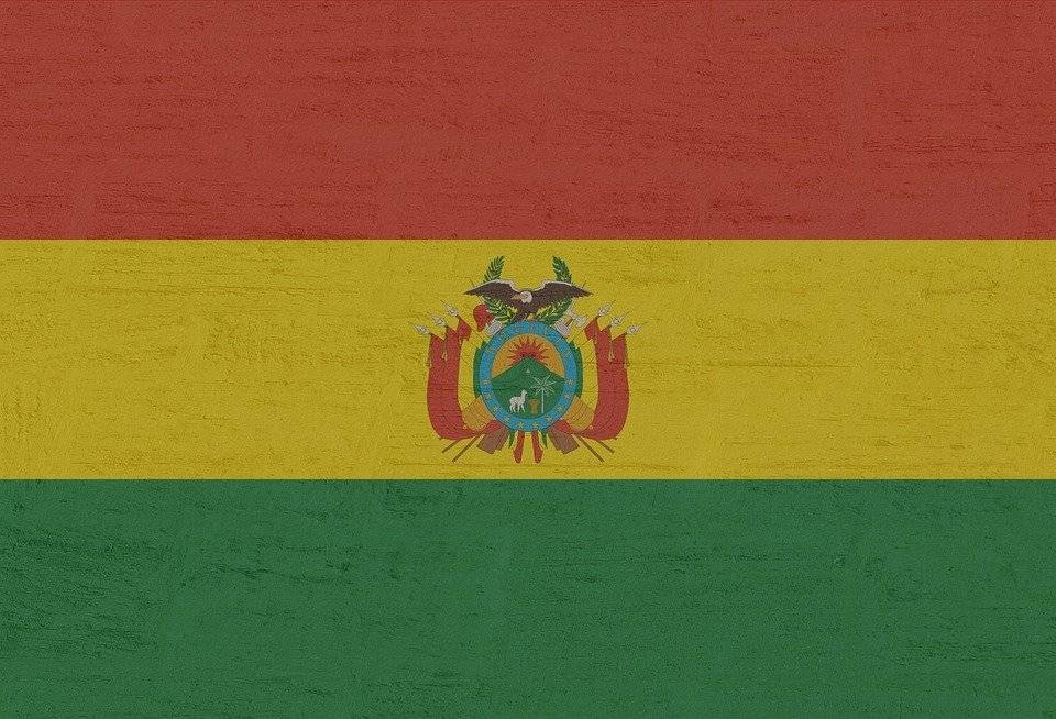 Москва признала временным президентом Боливии Жанин Аньес
