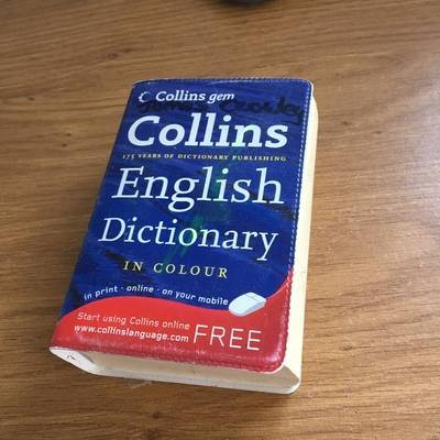 Collins English Dictionary назвал самую популярную фразу 2019 года
