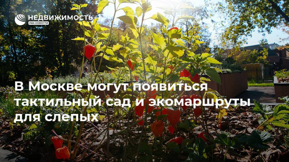 В Москве могут появиться тактильный сад и экомаршруты для слепых
