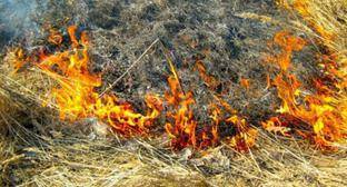 Четыре человека задержаны по подозрению в поджоге лесов на Кубани