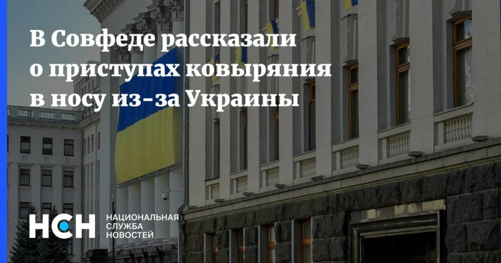 В Совфеде рассказали о приступах ковыряния в носу из-за Украины