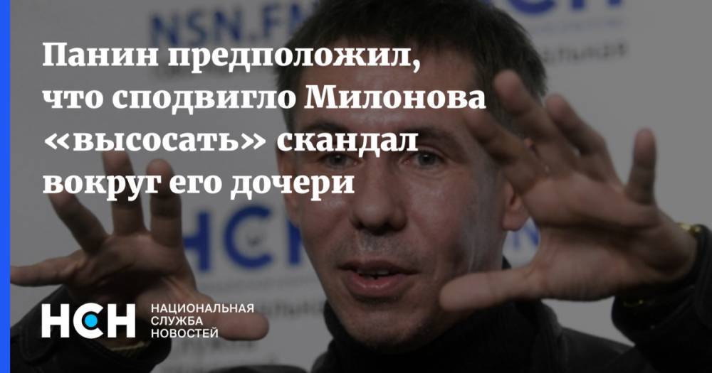 Панин предположил, что сподвигло Милонова «высосать» скандал вокруг его дочери