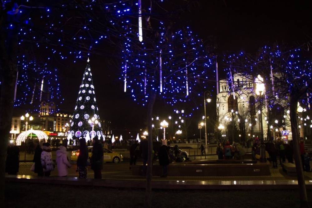 Главную новогоднюю елку в Калининграде установят 8 декабря