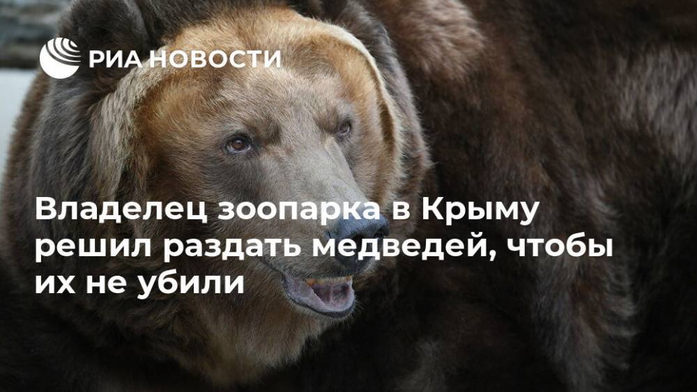 Владелец зоопарка в Крыму решил раздать медведей, чтобы их не убили