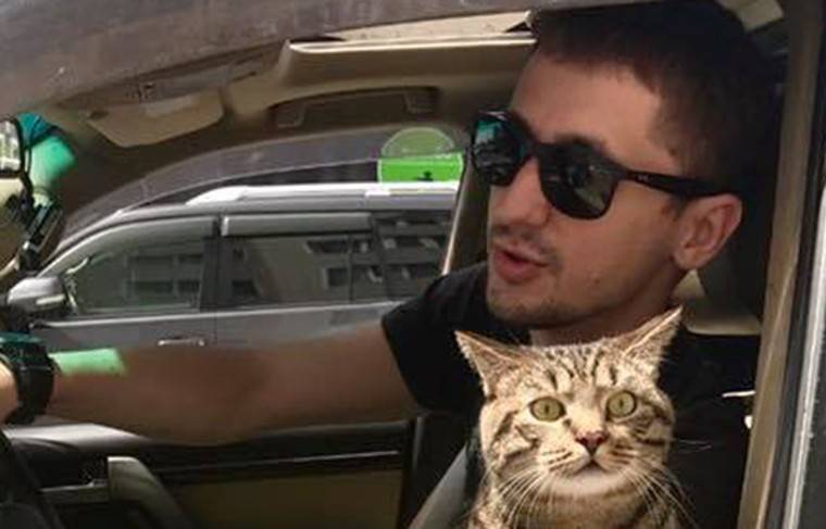 Россияне поддержали пассажира, которого «Аэрофлот» наказал за толстого кота