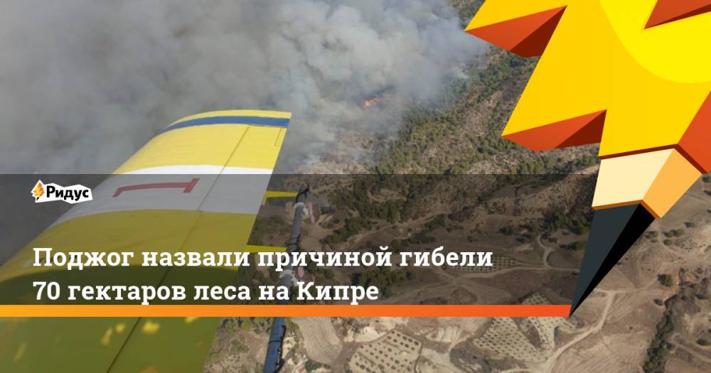 Поджог назвали причиной гибели 70 гектаров леса на Кипре