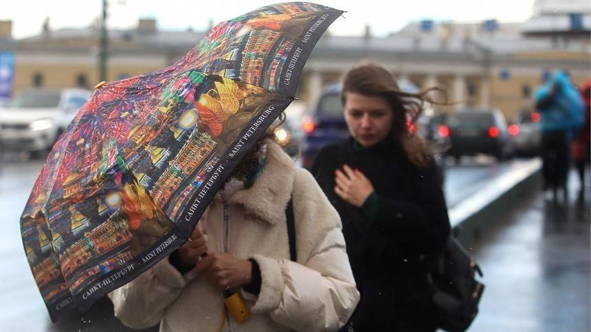 Жителей и гостей Петербурга предупреждают о сильном порывистом ветре