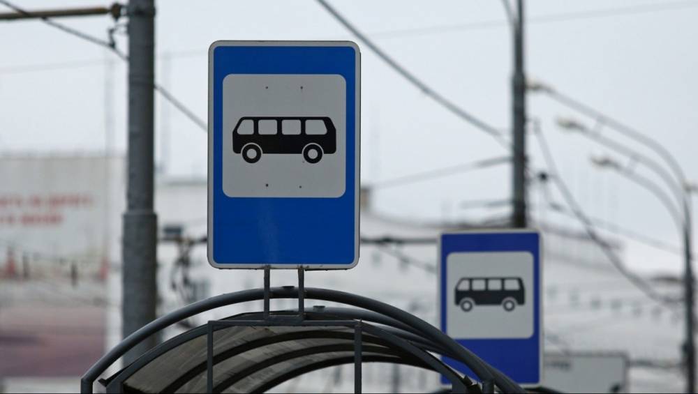 В 2020 году России появятся остановки, вызывающие автобус, если на ней собралось более 5 человек